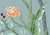 Asian 36" * H100"/Panel * 5ps, Grey Blue Tropical Rainforest Wallpaepr, Tropical Rainforest Style Wallpaper Mural, 5 Panels For Sale - Image 3 of 6