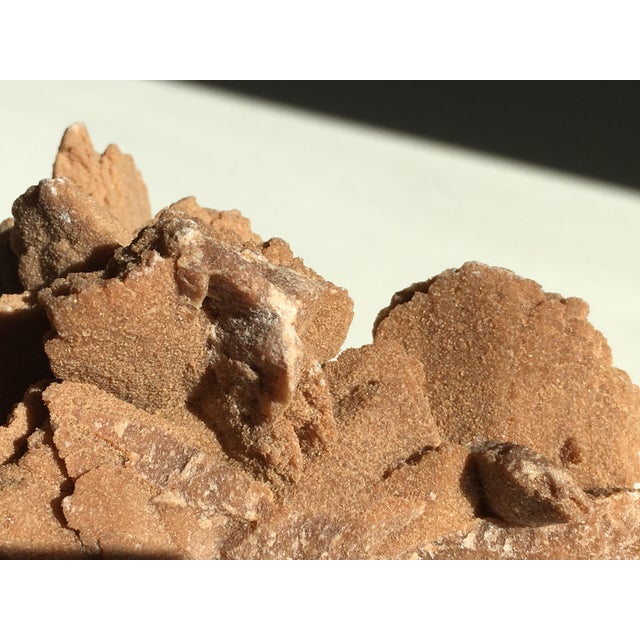 Desert Rose Selenite Crystal Formation For Sale In Miami - Image 6 of 7