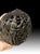 Carved Coconut, 19th Century For Sale - Image 10 of 14