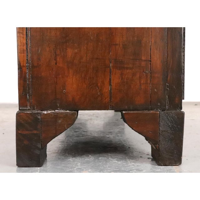 19th Century Pine & Black Walnut Apothecary Cabinet For Sale - Image 12 of 14