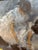 Mid 20th Century David Harlan “ Final Adjuments” Oil Painting For Sale - Image 5 of 6