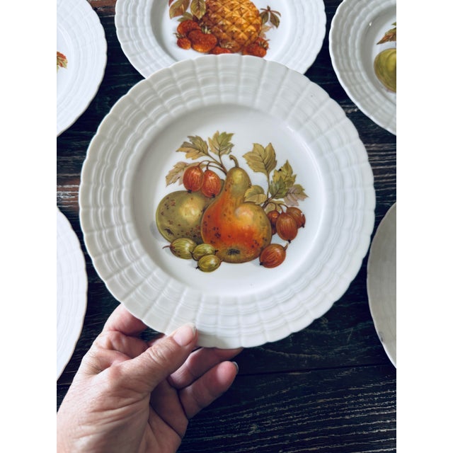 Vintage Hutschenreuther German Fruit Plates – Set of 6 For Sale In Chicago - Image 6 of 12