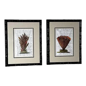 Pair “Faux Bamboo” Frames With Old Italian Shell Prints With Overwritten Text.