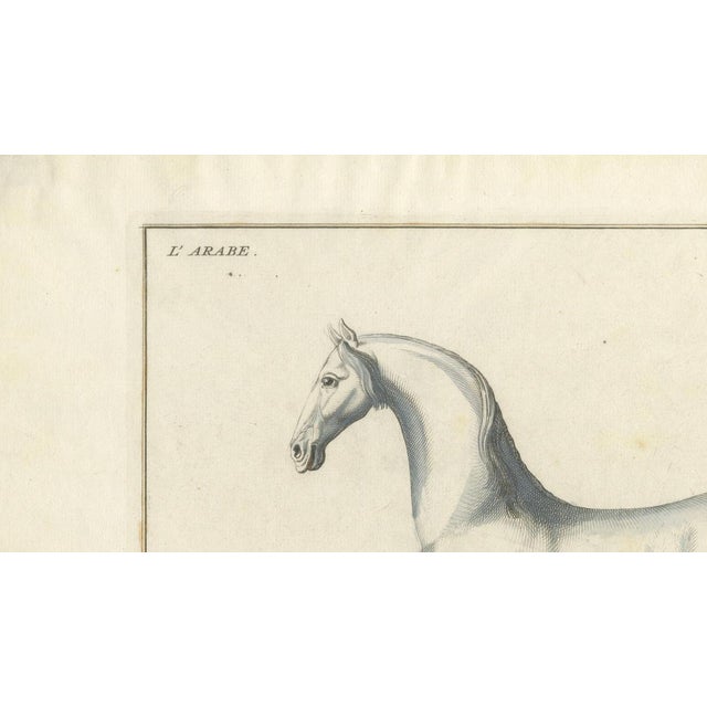 Gold Baron Eisenberg, L'Arabe, 1727, Engraving For Sale - Image 8 of 11