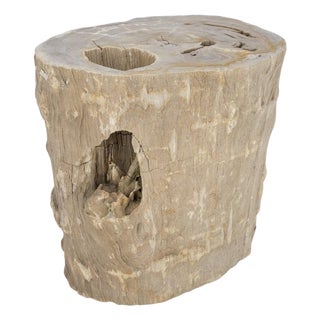 Large Beige Petrified Wood Organic Stomp Shape Stand End Side Table Pedestal For Sale