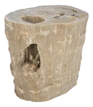 Large Beige Petrified Wood Organic Stomp Shape Stand End Side Table Pedestal