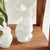 Early 21st Century Daisy Mae Bunny Large For Sale - Image 5 of 5