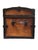 Mid 19th Century Mid 19th Century Saratoga Trunk For Sale - Image 5 of 9