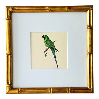 Hand-Painted Parrot Painting in Faux Bamboo Frame For Sale