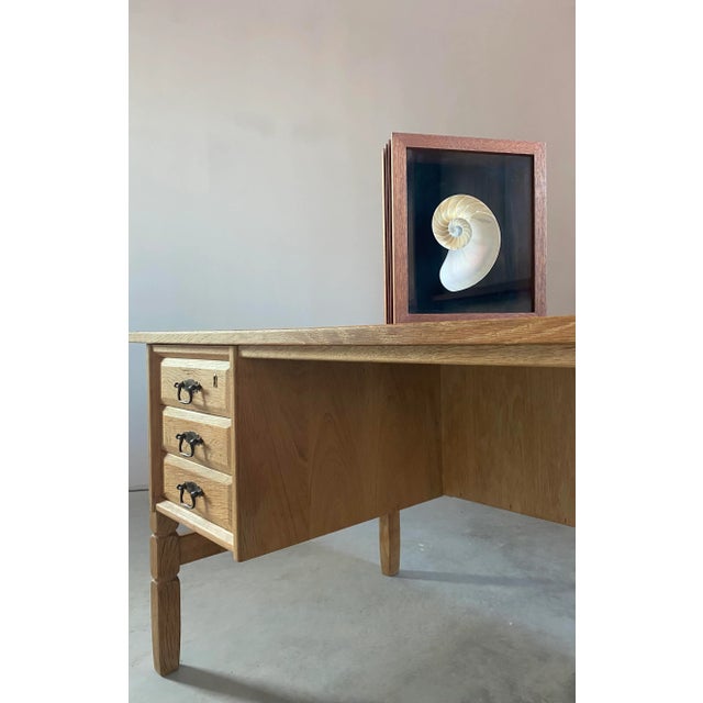 Contemporary Framed Nautilus Shell For Sale - Image 3 of 15