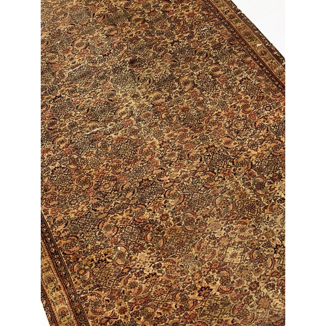 Antique Persian Farahan Rug 3'9" X 5’10” For Sale - Image 9 of 9