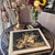 This is a gorgeous, large vintage Florentine box with an amazing still life print decoupaged on the top and a classic gilt...
