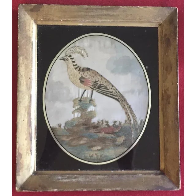 Antique 18th Century English George III Needlework of an Exotic Bird in Original Gilt Wood Frame For Sale - Image 10 of 11