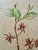Original watercolor on paper by Henry Emil Salloch, also known as Heinz Emil Salloch, the German-born American artist and...
