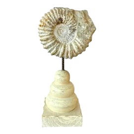 Example of Decorative Objects