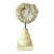 Ammonite Fossil Sculpture on Wooden Stand, Organic Modern Design For Sale