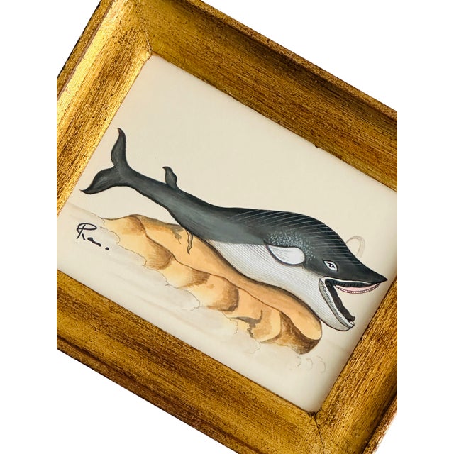 A one-of-a-kind hand-painted painting of a baby whale full of whimsy & wonder. This adorable whale is delicately hand-...