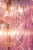 Pink Shell Murano Glass Chandelier, 2000s, Set of 2 For Sale - Image 4 of 9