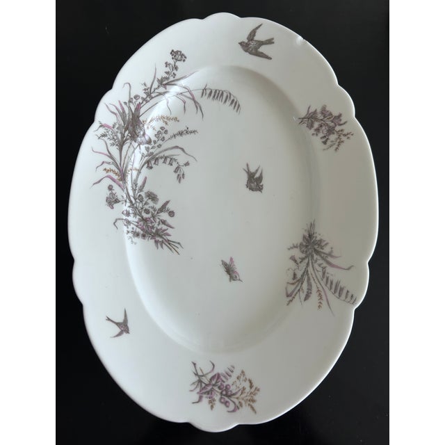 Porcelain Plates and Platter by Ch Pillivuyt & Cie, 1890s, Set of 8 For Sale - Image 12 of 17