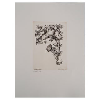 Cécile Reims, Bloom, 20th Century, Etching For Sale