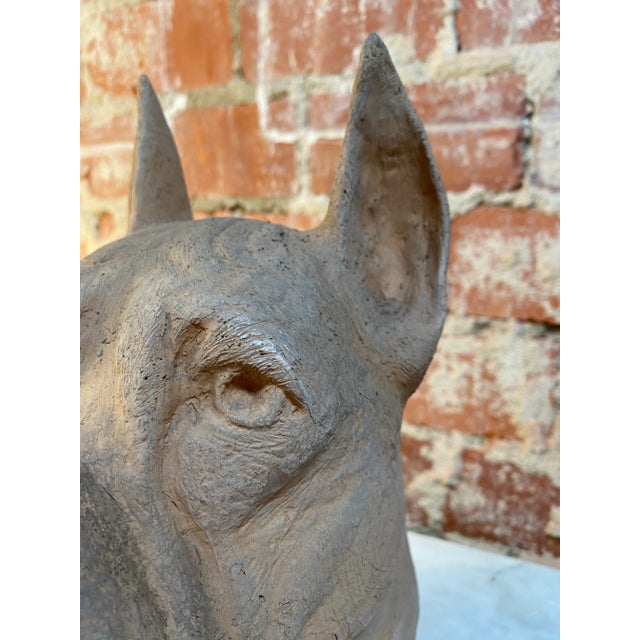 1980s Italian Terracotta Cane Corso Sculpture For Sale In Los Angeles - Image 6 of 9