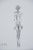 Alberto Giacometti (1901-1966) Nude Woman, Front View Original Lithograph Poster On poster paper, 46 x 63 cm (approx. 18 x...