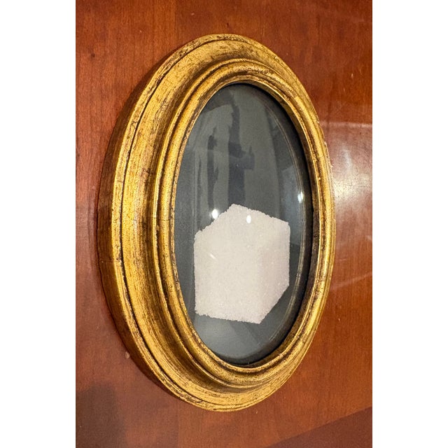 Contemporary 2026 Jefferson Hayman Digital Print of Sugar Cube Against Black in Antique Gold Frame With Convex Glass For Sale - Image 3 of 7