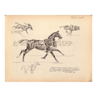 Alligator Hit 1st West Hills Plate 1928 For Sale