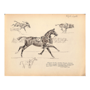 Alligator Hit 1st West Hills Plate 1928