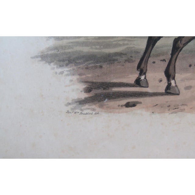 Wood 1809 Hand-Colored Engraving Spanish Courier by William Bradford Framed Antique Military Print From British Campaign in Spain For Sale - Image 7 of 11