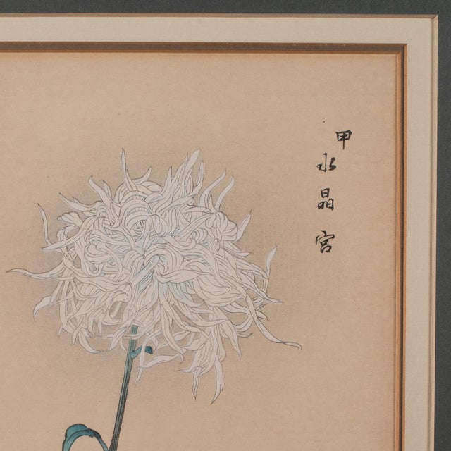 3 Vintage Botanical Pictures, Japanese, Woodblock Print, After Hasegawa, Art For Sale - Image 10 of 12