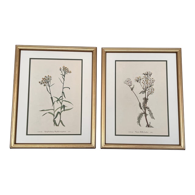 Vintage Botanical Framed Prints Set of 2 - Authentic 1953 Prints For Sale