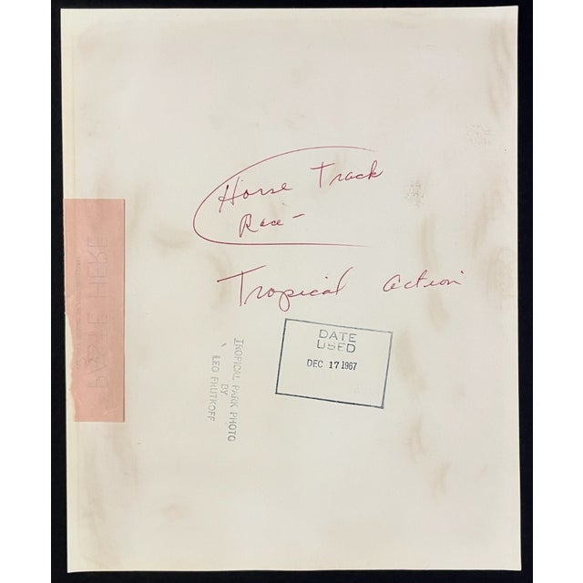 1967 equestrian black and white photograph of a race at Tropical Park in Miami by important equestrian photographer Leo...