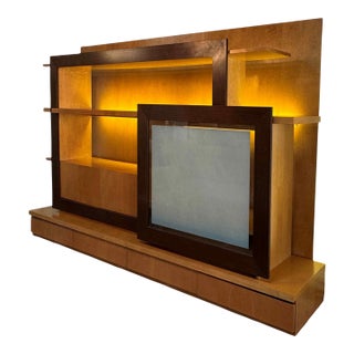 Roche Bobois Custom Wall Unit For Sale