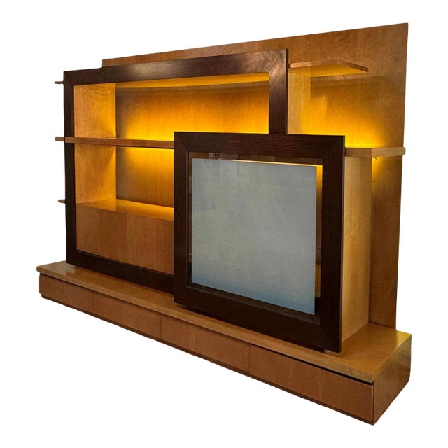 Roche Bobois Custom Wall Unit For Sale