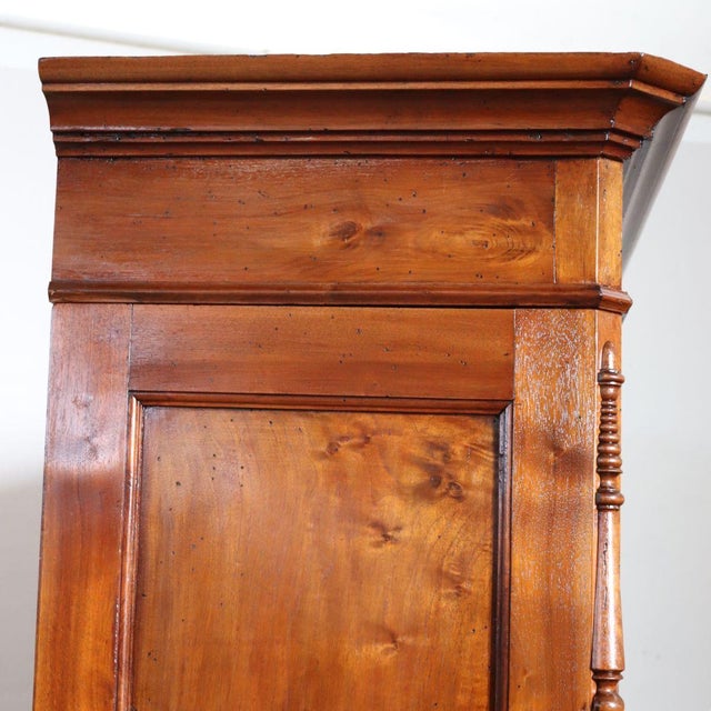 19th Century Antique Wardrobe in Walnut, 1800s For Sale - Image 5 of 18