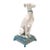 Vintage Italian Ceramic Whippet Figurine For Sale