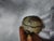 Hal David Berger Paperweight For Sale In Houston - Image 6 of 6