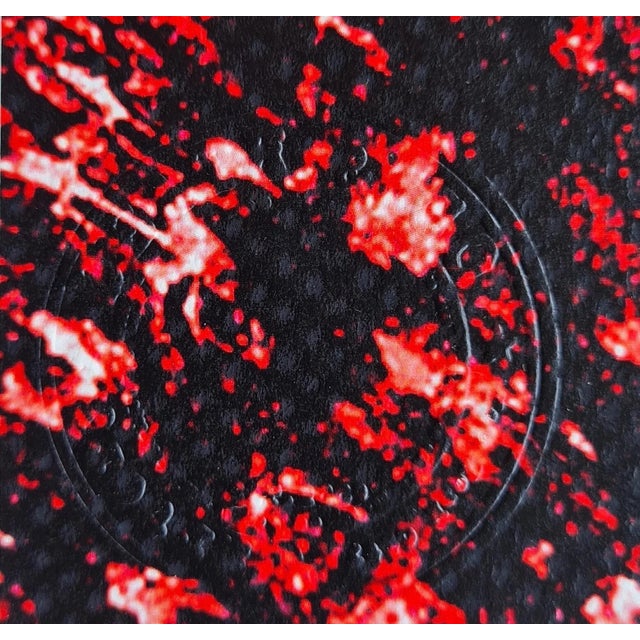 Red Death Nyc - Vincent Van Gogh - Limited Edition With Certificate For Sale - Image 8 of 11