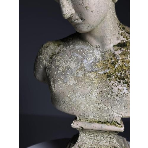 Bust of Hermes in Plaster For Sale - Image 17 of 18