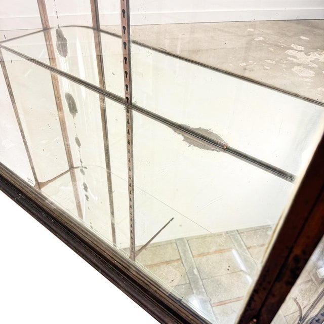 Large Antique Metal Museum Display Cabinet with Curved Glass, 1890s For Sale - Image 11 of 18