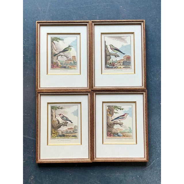 Vintage Regency Bird Prints - Set of 4 For Sale In West Palm - Image 6 of 10