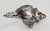 Late 20th Century Real Shell Seashell Silver Alloy Dipped For Sale - Image 5 of 8