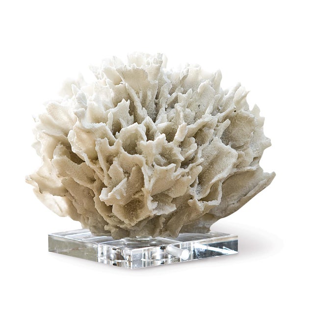 Regina Andrew Ribbon Coral in White For Sale In Detroit - Image 6 of 6