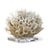 Regina Andrew Ribbon Coral in White For Sale In Detroit - Image 6 of 6