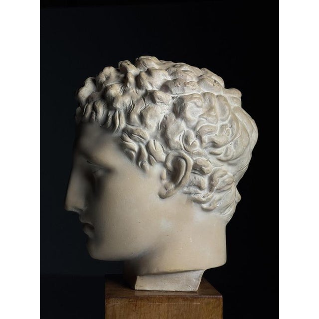 Greek Head Statue in Plaster For Sale - Image 7 of 14