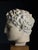 Greek Head Statue in Plaster For Sale - Image 7 of 14