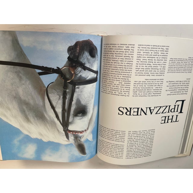 1970s The Imperial Horse Book on the History of Lipizaneer For Sale In Miami - Image 6 of 8