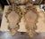 Pair of 19th Century Italian Louis XV Carved Giltwood Wall Mirrors For Sale - Image 9 of 10