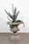 Hollywood Regency Iron Agave Plant Sculpture, 18th Century For Sale - Image 3 of 10